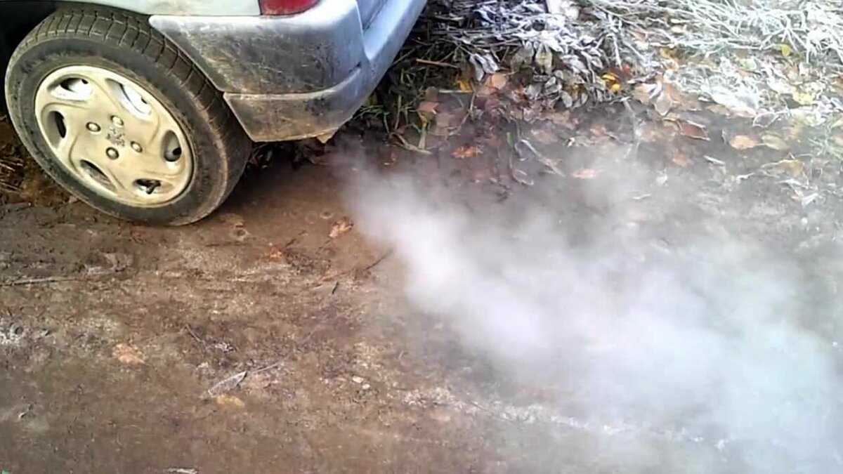 Сизый дым из выхлопной трубы двигателя (дизель) 🦈 avtoshark.com