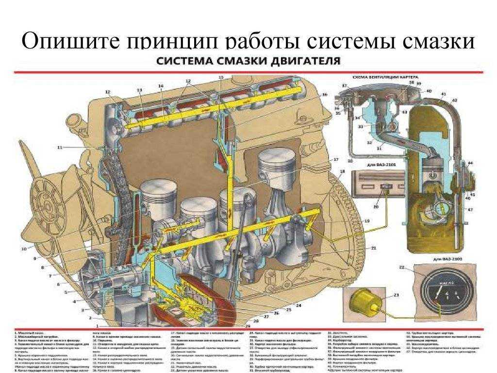 Лабораторные центрифуги – назначение, устройство, безопасность, критерии выбора - labcentrifuge.ru