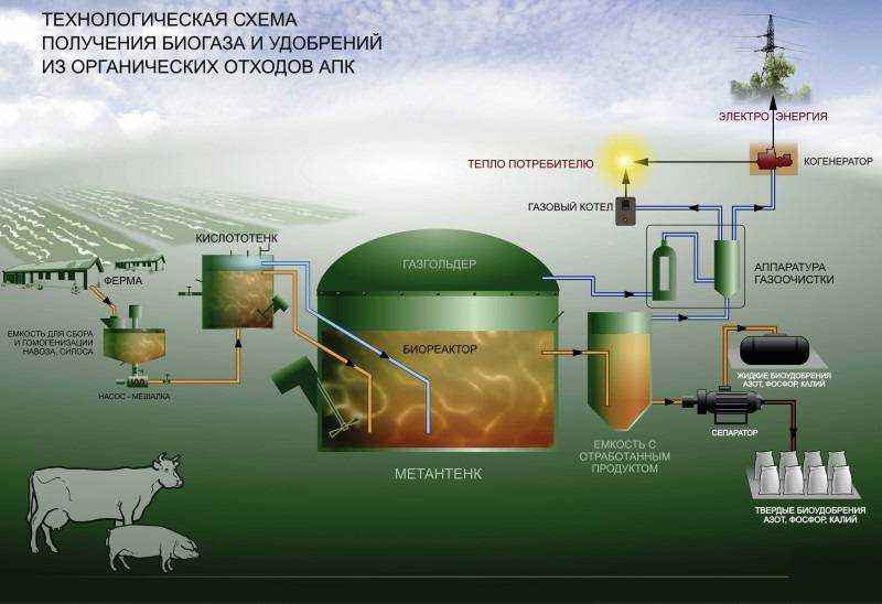 Биогаз своими руками: технология получения альтернативного топлива из биологических отходов